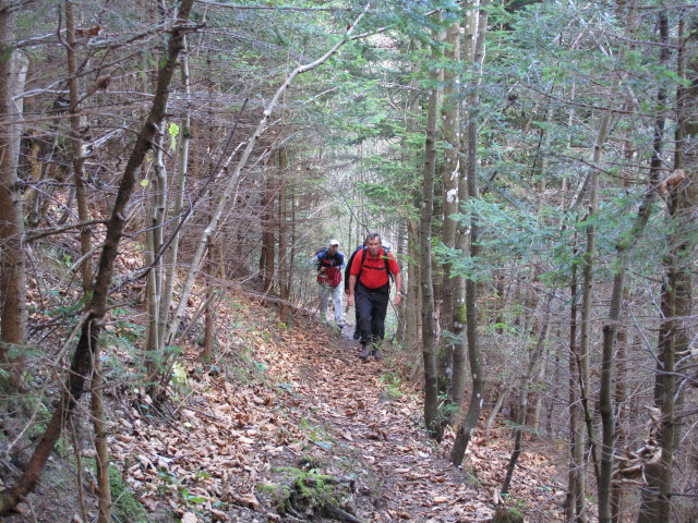 zwischen Kernhof und Waldhüttsattel