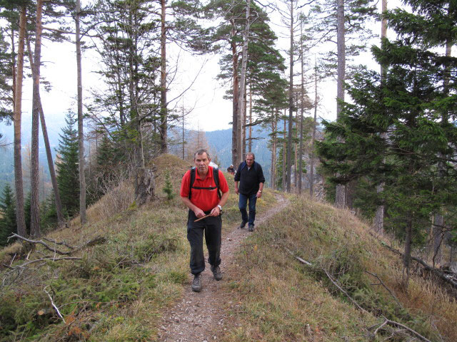zwischen Kernhof und Waldhüttsattel