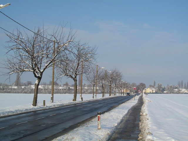 Bettelheimstraße