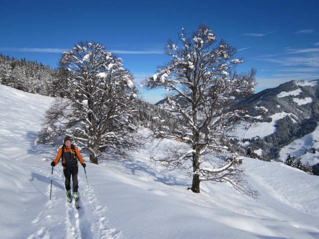 Andreas zwischen Klettingeralm und Thaleralm-Hochleger