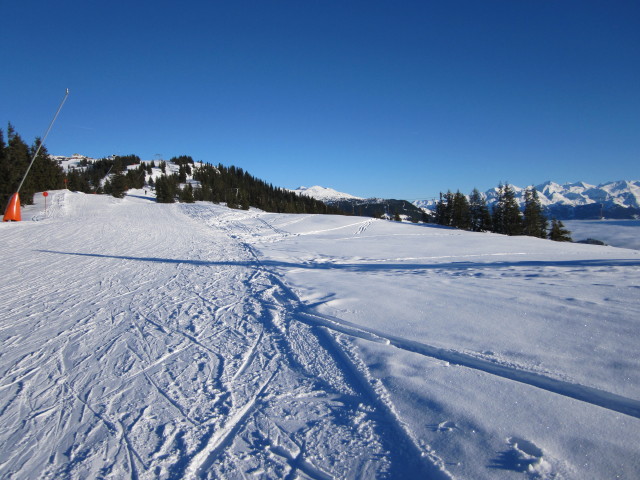 Trattenbachabfahrt (30. Dez.)