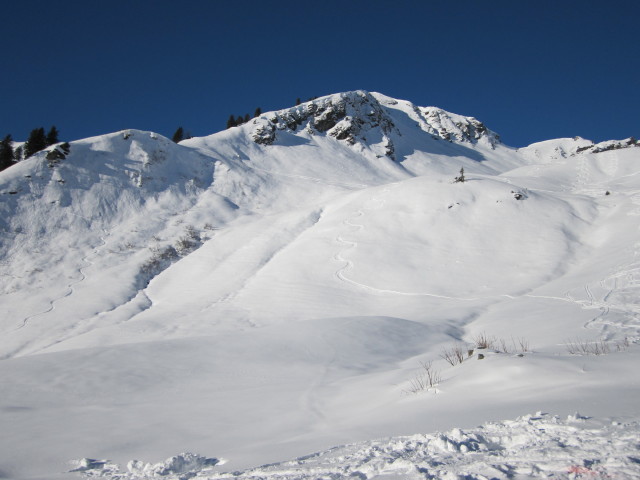 von der Wirts Hochalm Richtung Westen (1. Jän.)