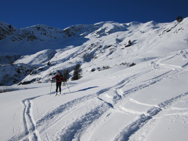 Erhard zwischen Wirts Hochalm und Wirts Mitterleger (1. Jän.)