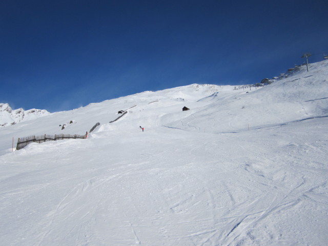 Wiesenabfahrt (15. J&auml;n.)