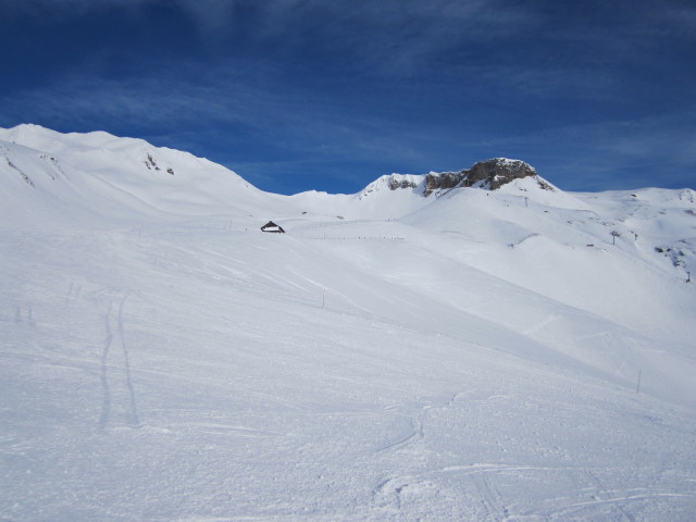 Viehb&uuml;helabfahrt (16. J&auml;n.)