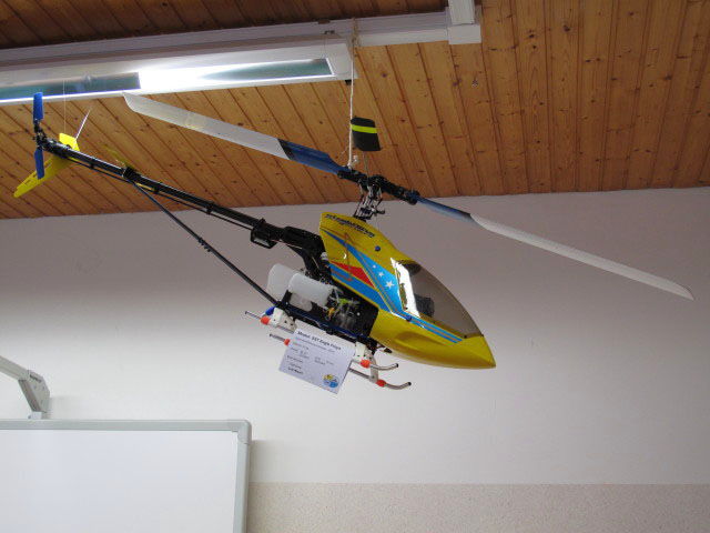 SST Eagle Freya in der Hauptschule B&ouml;heimkirchen