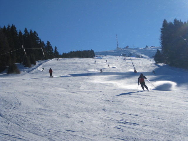 B&auml;renbissabfahrt