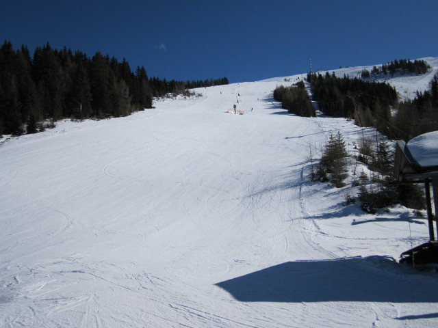 B&auml;renbissabfahrt