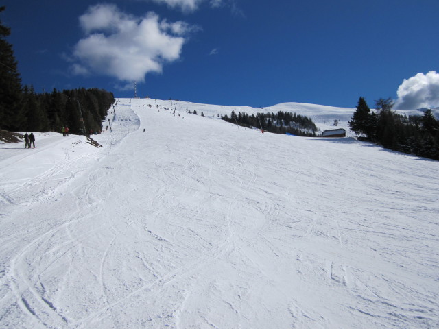 B&auml;renbissabfahrt