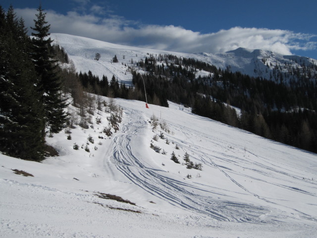 B&auml;renbissabfahrt