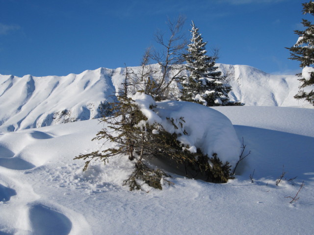 bei der Bergstation der Ski-Schaukel Falken