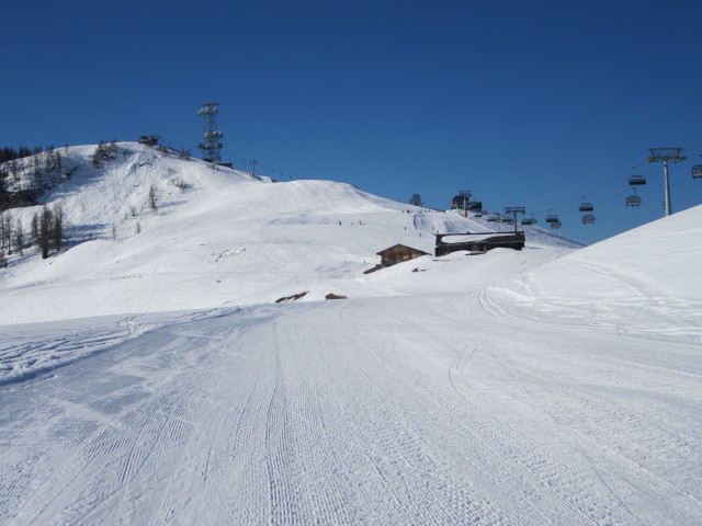 Sch&ouml;nb&uuml;hel