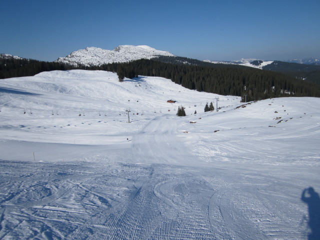 Sch&ouml;nb&uuml;hel-Bahn