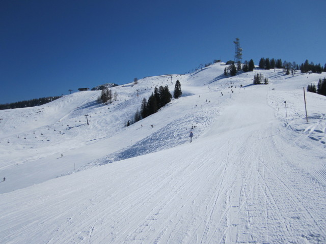 Sch&ouml;nb&uuml;hel-Bahn