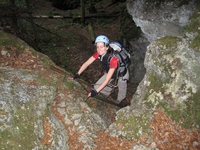 Waldegger Steig: Katarina auf der siebten Leiter