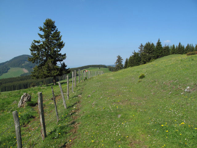 zwischen Sommeralm und Kulmkogel