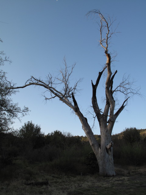 am Ende des Mazatzal Wilderness Jeeptrail (25. Mai)