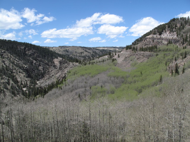 neben der Cumbres & Toltec Scenic Narrow-Gauge Railroad zwischen Garfield Monument und Osier (29. Mai)