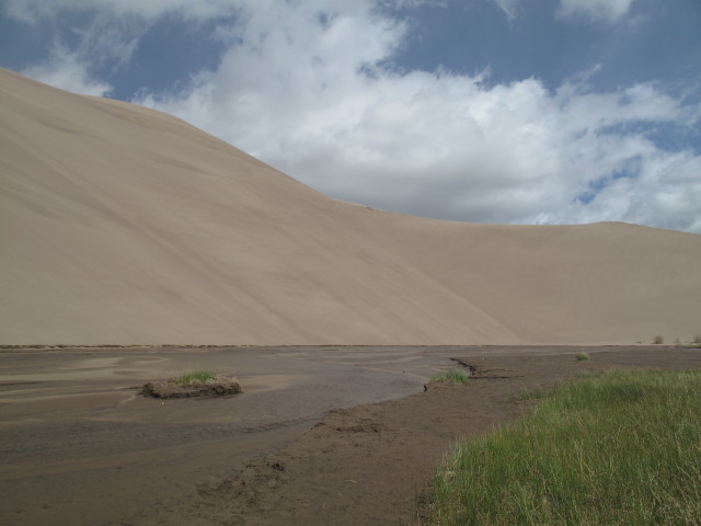 Dunefield von der Castle Creek Picnic area im Great Sand Dunes National Park aus (30. Mai)
