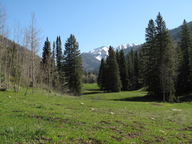 Mayday, 2.662 m (31. Mai)