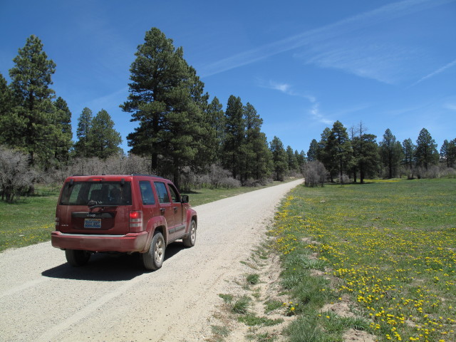 Jersey Jim Lookout Jeeptrail zwischen Mancos Reservoir und West Mancos Overlook (31. Mai)