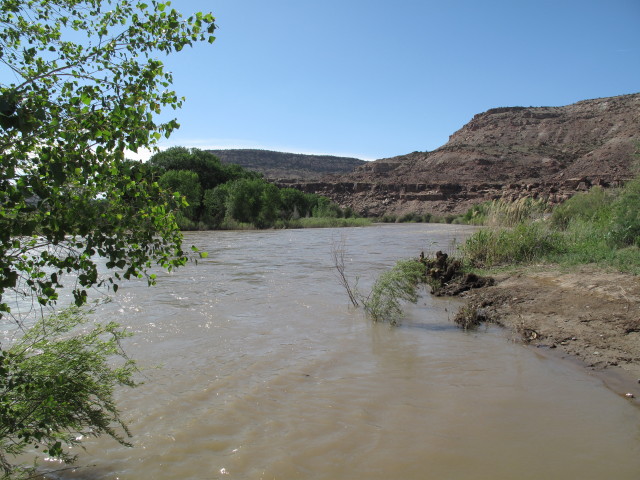 Gunnison River bei der Mündung des Escalante Creek (2. Juni)