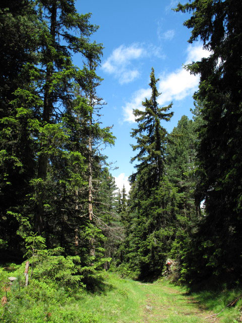 Alter Almweg zwischen Lasell und Weg 4