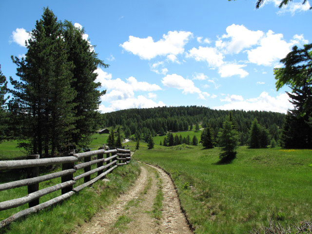 Alter Almweg zwischen Lasell und Weg 4
