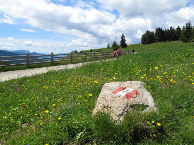 Alter Almweg zwischen Abzweigung Weg 4 und Ronerh&uuml;tte