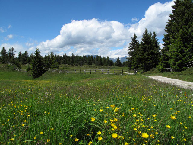 neben Weg 68 zwischen Rastnerh&uuml;tte und Weg 69