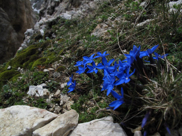 Maximilian-Klettersteig: zwischen Einstieg und Gro&szlig;em Rosszahn (26. Juni)