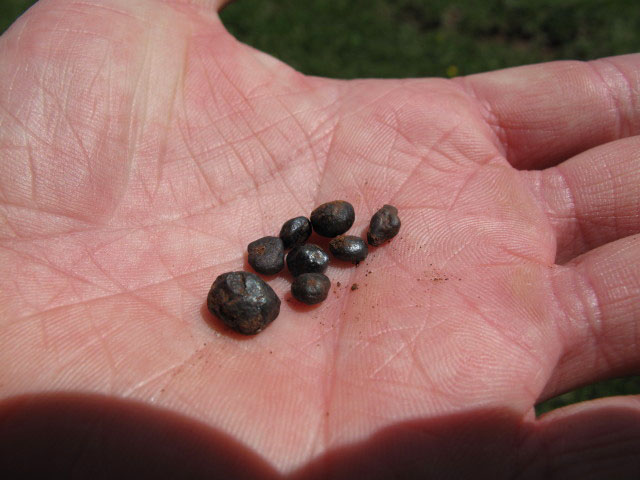 Christoph auf Weg 4 zwischen Abzweigung Maximilian-Klettersteig und Schlern-Hochfl&auml;che (26. Juni)