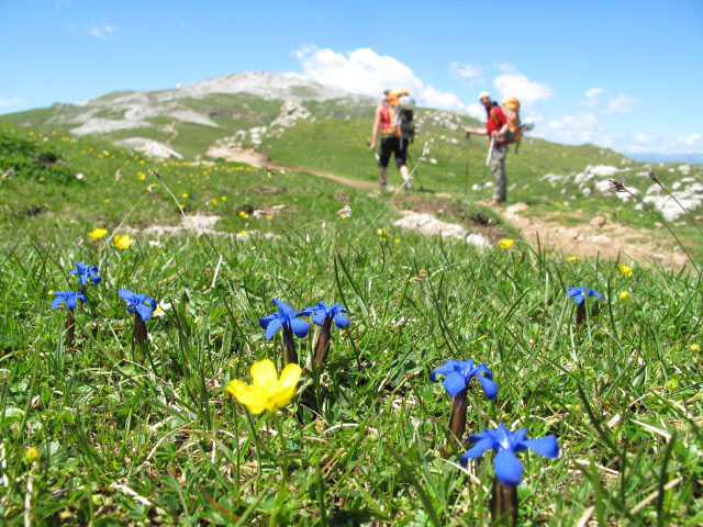 Gudrun und Christoph auf Weg 4 auf der Schlern-Hochfl&auml;che (26. Juni)