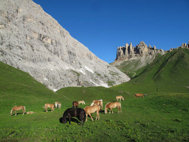 Rossz&auml;hne (27. Juni)