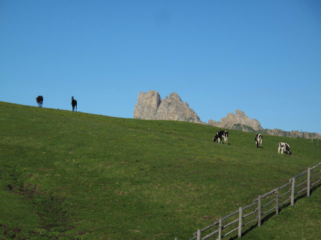 Rosengartengruppe von der Plattkofelh&uuml;tte aus (27. Juni)