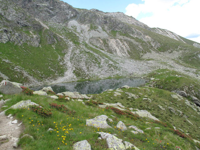 Kratzberger See von Weg 4 aus (2. Juli)