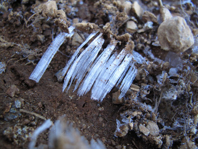 Weg 2B in Rotmoos (3. Juli)