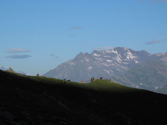 Texelgruppe von Weg 2B aus (3. Juli)