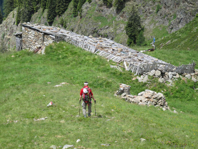 Christoph auf Weg 2 auf der H&uuml;hnerspielalm, 1.980 m (3. Juli)