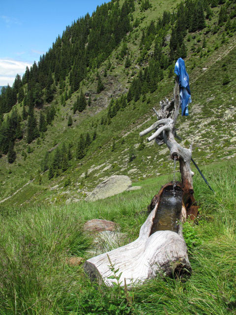 H&uuml;hnerspielalm, 1.980 m (3. Juli)