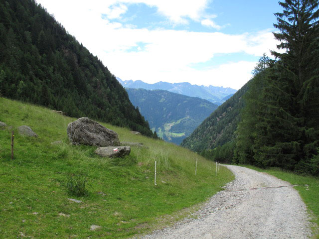 Weg 2 zwischen Asche-H&ouml;fl und Ober-Fartleis (3. Juli)