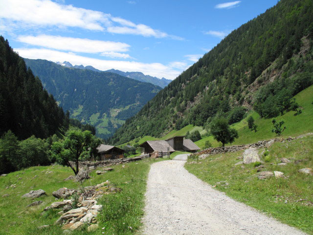 Weg 2 in Ober-Fartleis, 1.188 m (3. Juli)