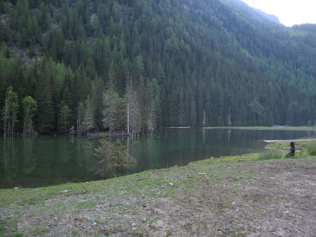 Konradlacke (9. Juli)