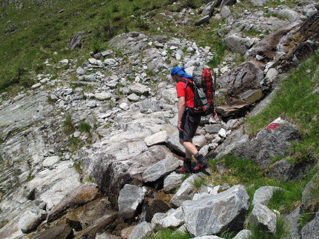 Norbert am Celler Weg zwischen Celler H&uuml;tte und T&ouml;rlkopf (10. Juli)