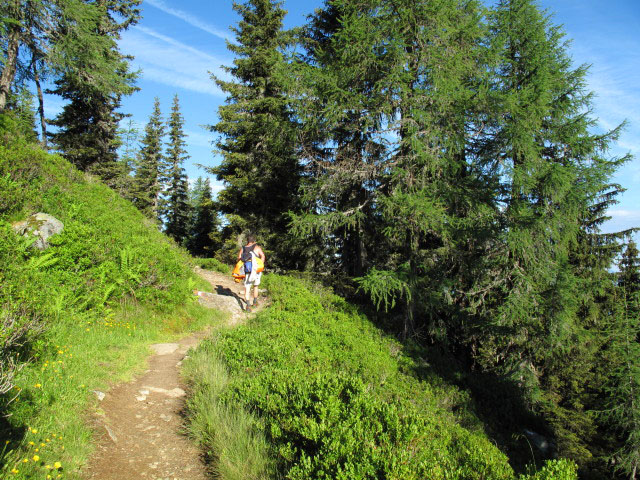 Erich auf Weg STW-A zwischen H&uuml;ttecksattel und Rossfeld