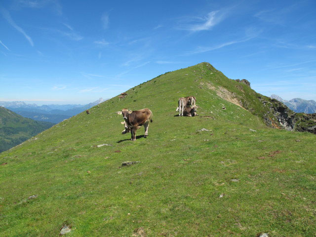 zwischen Hochfeld und Weg STW-A
