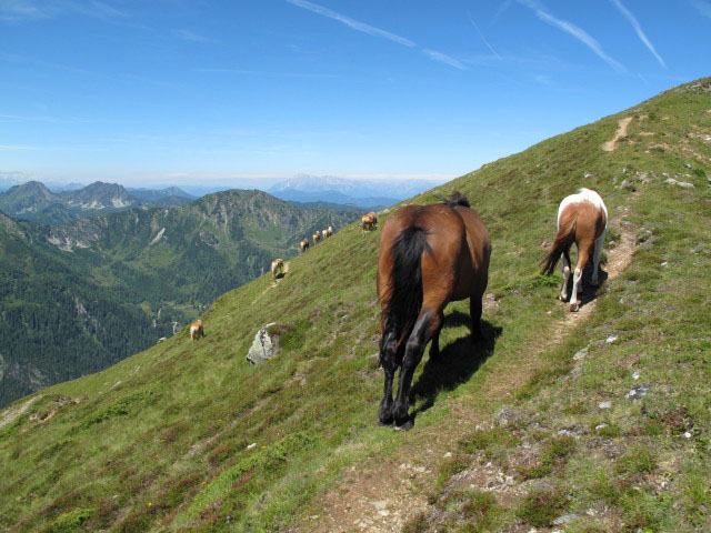 zwischen Hochfeld und Weg STW-A