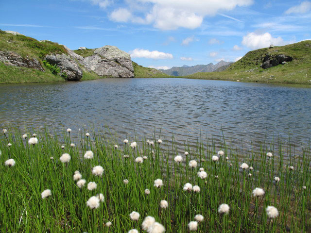 neben Weg STW-A zwischen Brettersee und Ignaz-Mattis-H&uuml;tte