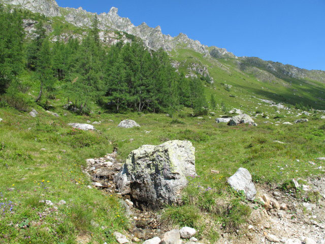 neben Weg STW-A zwischen Preuneggsattel und Ursprungalm