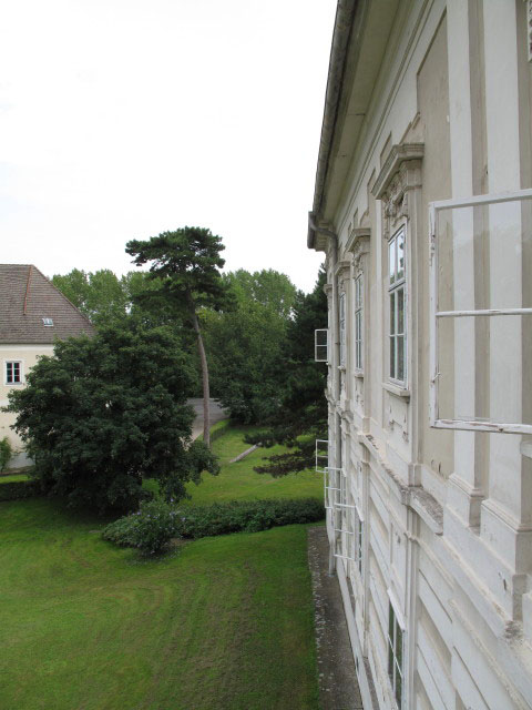 Schloss Rohrau